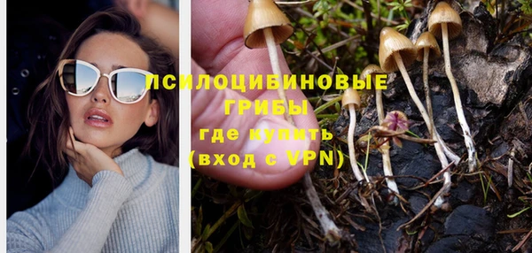 молекула духа Баксан