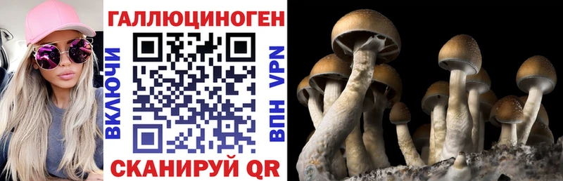Купить закладки  Сковородино  Псилоцибиновые грибы мухоморы 