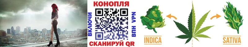 Канабис планчик  Купить где  Сковородино 